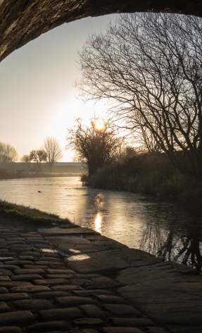 Rics surveyor blackburn